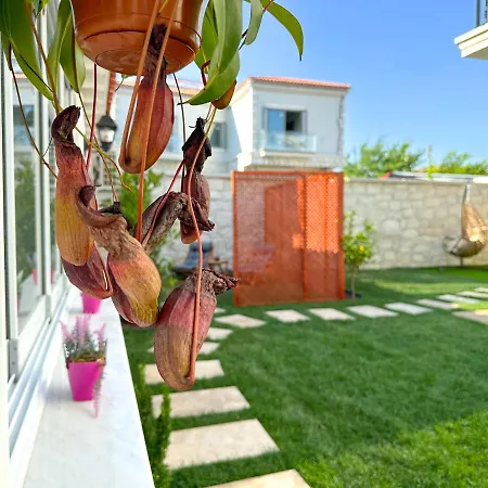 Muezeyyen Hanim Konagi Alaçatı