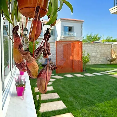 Hotel Muezeyyen Hanim Konagi